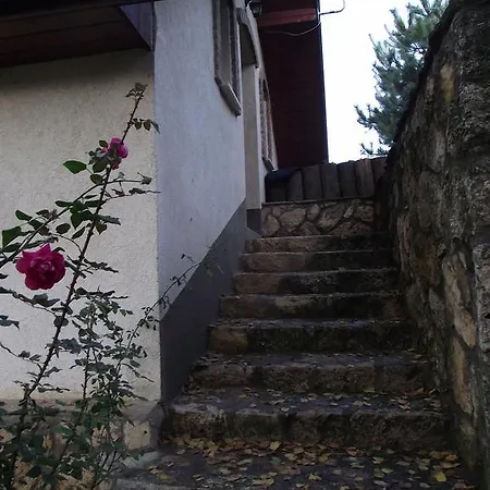 호텔 Szalma Vendeghaz *