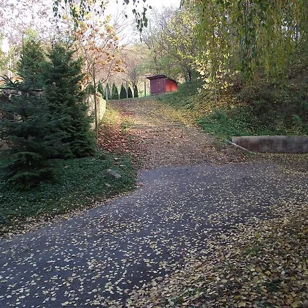 Szalma