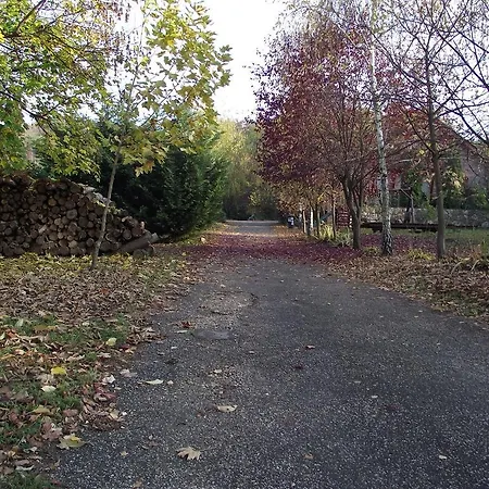 호텔 Szalma Vendeghaz