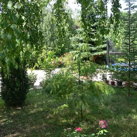 호텔 Szalma Vendeghaz Mogyorosbanya