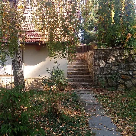 Szalma *